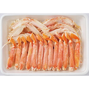 11/28܂ő{!  2026 {C킢 W1-5  N Nn VN J     lC U  O  Zbg l