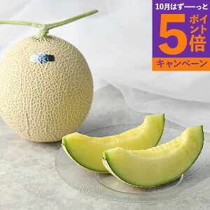 yGg[Ń|Cg5{zΕ O 2025 NEmR1ʁniʔNj fw-cm1.3-1yN  O Hו Ԃ   i j  ii i Vzj j o