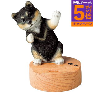 X}zX^h Vo TԂ 䋟 e{ lߍ킹 Mtg v[g  ii i Vzj j oYj A z z j ʐ^ bZ[WJ[h 