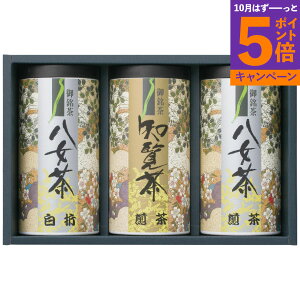 Bl YTS-50 TԂ 䋟 e{ lߍ킹 Mtg v[g  ii i Vzj j oYj A z z j ʐ^ bZ[WJ[h ̂
