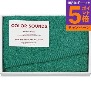 【エントリーでポイント5倍】フェイスタオル COLOR SOUNDS CSD2510GR香典返し 御供 粗供養 詰め合わせ ギフト プレゼント 割引 景品 品物 新築祝い 結婚内祝い 出産内祝い ご挨拶 引っ越し 引越し