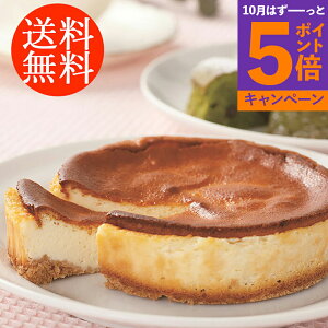 yGg[Ń|Cg5{z蕨 Mtg E 啪 z@ YURARĨP[LZbg 4000034 l킹 񂹃O ґ