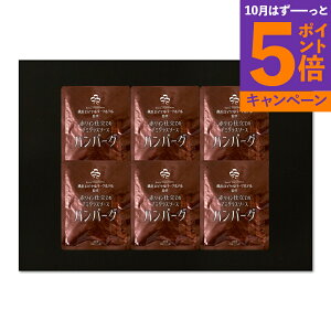 【エントリーでポイント5倍】神奈川 「横浜ロイヤルパークホテル」監修 赤ワイン仕立てのデミグラスソースハンバーグセット RHG-6 産地直送 食品 グルメギフト ギフト プレゼント 誕生日 お