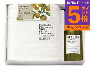 yGg[Ń|Cg5{zORANGEYqIW[r pnh\[vƃI[KjbN^IZbg 19035 TԂ 䋟 e{ lߍ킹 Mtg v[g  ii i Vzj 