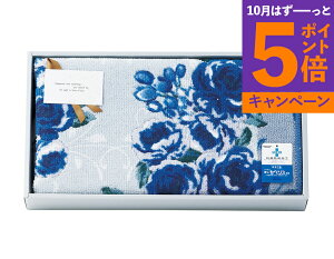 [Y oX}bg 094547BL TԂ 䋟 e{ lߍ킹 Mtg v[g  ii i Vzj j oYj A z z j ʐ^ bZ[WJ[h 