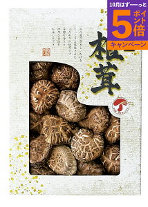 Yǂ񂱒ő JMD-20IS TԂ 䋟 e{ lߍ킹 Mtg v[g  ii i Vzj j oYj A z z j ʐ^ bZ[WJ[h 