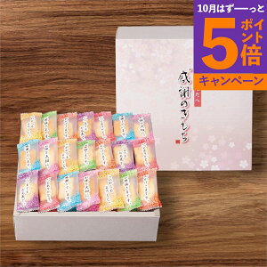 yGg[Ń|Cg5{zӂ̂ Sُ܂ OTN-15TԂ 䋟 e{ lߍ킹 Mtg v[g  ii i Vzj j oYj A z z 