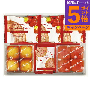 yGg[Ń|Cg5{z܂䕃oEN[w&v`tBiVF Mtg{bNXFAO-20RTԂ 䋟 e{ lߍ킹 Mtg v[g  ii i Vzj j o