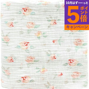 yGg[Ń|Cg5{zXhfUCY@XuPbg1 SDM-1021WPPF TԂ 䋟 e{ lߍ킹 Mtg v[g  ii i Vzj j oYj 