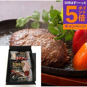 yGg[Ń|Cg5{zy z {苍僌Xg ~`N no[OZbg MYG-2 no[O   O Y Mtg