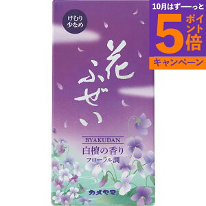 J} Ԃӂ   I10590300 TԂ 䋟 e{ lߍ킹 Mtg v[g  ii i Vzj j oYj A z z j ʐ^ b