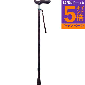 LkWCgU[XebL uE 69[NL1 TԂ 䋟 e{ lߍ킹 Mtg v[g  ii i Vzj j oYj A z z j ʐ^