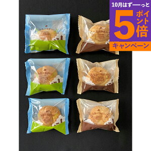 yGg[Ń|Cg5{zuv kCV[6Zbg 440202 Yn Hi OMtg Mtg v[g a Ԃ j j nO lC    H