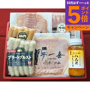 yGg[Ń|Cg5{z uv nnEECi[l EX-41 Yn Hi OMtg Mtg v[g a Ԃ j j nO lC  