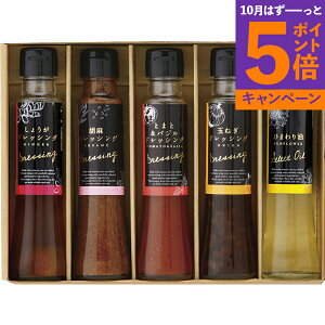 yGg[Ń|Cg5{z܂ ʂhbVOMtg IN DS-5YTԂ 䋟 e{ lߍ킹 Mtg v[g  ii i Vzj j oYj 