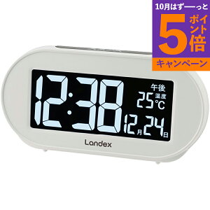 yGg[Ń|Cg5{zfW^uv uCgG[ fbNX YT5313WHTԂ 䋟 e{ lߍ킹 Mtg v[g  ii i Vzj j oYj 