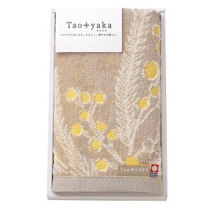 Taoyakai~Uj tFCX^I TAO-11Y TԂ 䋟 e{ lߍ킹 Mtg v[g  ii i Vzj j oYj A z z j ʐ^ bZ