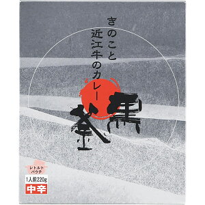 @̂Ƌߍ]̃J[i220gj TԂ 䋟 e{ lߍ킹 Mtg v[g  ii i Vzj j oYj A z z j ʐ^ 