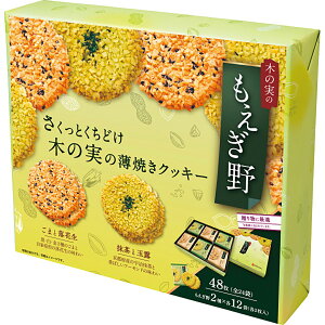 ڂ`{@i48j 11782 TԂ 䋟 e{ lߍ킹 Mtg v[g  ii i Vzj j oYj A z z j ʐ^ bZ