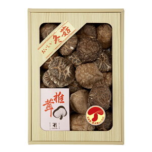 E{ uɂׂv ő V30 Yn Hi OMtg Mtg v[g a Ԃ j j nO lC    H Zbg  Ε