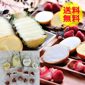 y z ʎACXl  5 v15  RF-435 v15 ACXN[ ACX   O Y XC[c Mtg