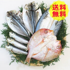 【送料無料 】 九州 一夜干し 4種セット S-50 れんこ鯛 真サバ1 真あじ 真いわし 海鮮 美味しい おいしい グルメ 産直 ギフト