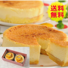 【送料無料 】 北海道 十勝フロマージュブリュレ DCTF2 美味しい おいしい グルメ 産直 ギフト