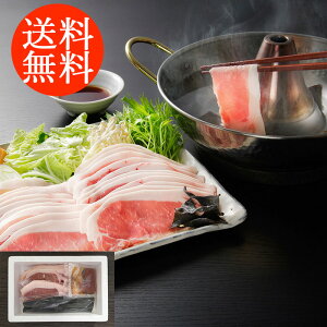 蕨 Mtg E kC^Y n[u؂̃[X 0080322 l킹 񂹃O ґ