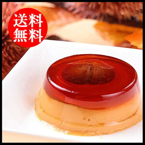 蕨 Mtg E uDv }v 6 0820200 l킹 񂹃O ґ