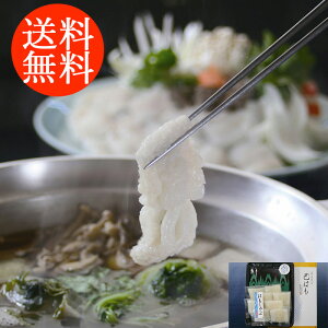 蕨 Mtg E  uጎv ͂ 2940115 l킹 񂹃O ґ