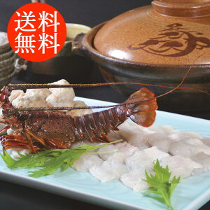 蕨 Mtg E  uጎv ͂ƈɐт̓ 2940116 l킹 񂹃O ґ