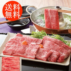 蕨 Mtg E Od ㋍ Ԃ 3070045 l킹 񂹃O ґ