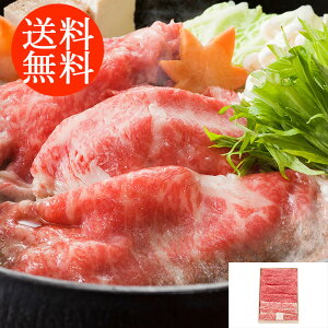 蕨 Mtg E Od ɉꋍEfoĂp 500g 3070079 l킹 񂹃O ґ