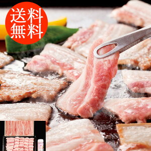 蕨 Mtg E |[N ēԂԃZbg 3070088 l킹 񂹃O ґ