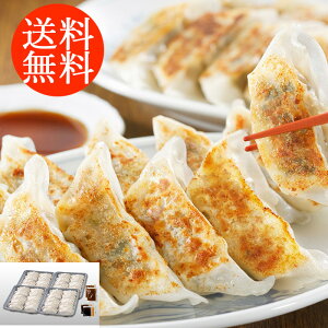 蕨 Mtg E  u ɓvIWiLqZbg v40 3400124 l킹 񂹃O ґ