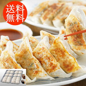 蕨 Mtg E  u ɓvIWiLqZbg v60 3400125 l킹 񂹃O ґ