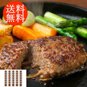 蕨 Mtg E T[Cno[O 40 3650042 l킹 񂹃O ґ