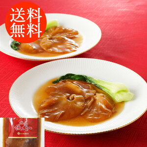 蕨 Mtg E EԍulѓXvďC gĕ ӂЂ̎p 5180095 l킹 񂹃O ґ