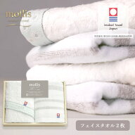 最強配送限定数まで 今治タオル ギフト mollis モリス [フェイスタオル2枚] SDGs 66820 ＜ストライプ・白…