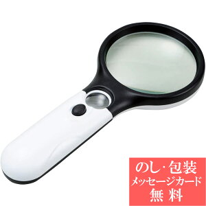 yGg[Ń|Cg5{zLEDt_u[y / TԂ i e{ lߍ킹 Mtg  j oYj A z z j ʐ^ bZ[WJ[h