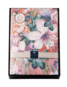 _E50% Hє|ӂƂ BUF-1202 TԂ 䋟 e{ lߍ킹 Mtg v[g  ii i Vzj j oYj A z z j ʐ^ bZ