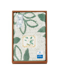 neCXg փ}bg 095452GR TԂ 䋟 e{ lߍ킹 Mtg v[g  ii i Vzj j oYj A z z j ʐ^ bZ[WJ