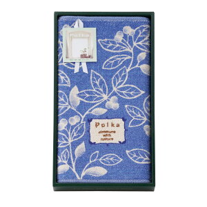 |J ȍoX}bg 095391BL TԂ 䋟 e{ lߍ킹 Mtg v[g  ii i Vzj j oYj A z z j ʐ^ bZ[WJ[