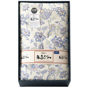  |zc  TK0715TԂ 䋟 e{ lߍ킹 Mtg v[g  ii i Vzj j oYj A z z j ʐ^ bZ[WJ[