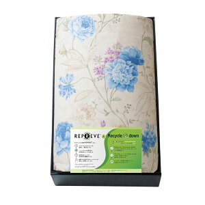 TXeBiuHєzc v[u KAR-15007BLTԂ 䋟 e{ lߍ킹 Mtg v[g  ii i Vzj j oYj A z z j ʐ^