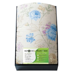 TXeBiuHѕzc v[u KAR-25007BLTԂ 䋟 e{ lߍ킹 Mtg v[g  ii i Vzj j oYj A z z j ʐ^ 