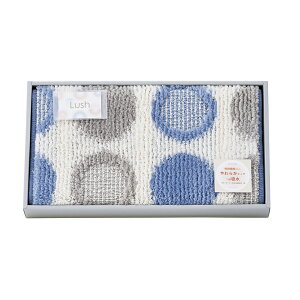 oX}bg bV 095643BLTԂ 䋟 e{ lߍ킹 Mtg v[g  ii i Vzj j oYj A z z j ʐ^ bZ[WJ[h 