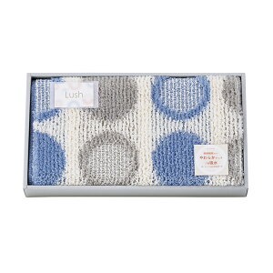 唻oX}bg bV 095667BLTԂ 䋟 e{ lߍ킹 Mtg v[g  ii i Vzj j oYj A z z j ʐ^ bZ[WJ