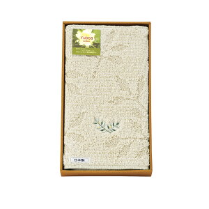 OLb`}bg bJ 094875IVTԂ 䋟 e{ lߍ킹 Mtg v[g  ii i Vzj j oYj A z z j ʐ^ bZ[