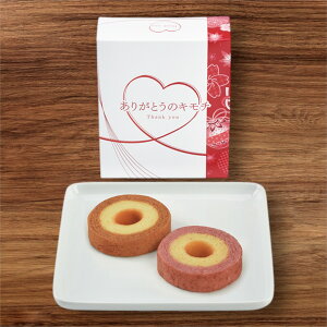 肪Ƃ̃L`o[N[wHAN-05DTԂ 䋟 e{ lߍ킹 Mtg v[g  ii i Vzj j oYj A z z j ʐ^ b